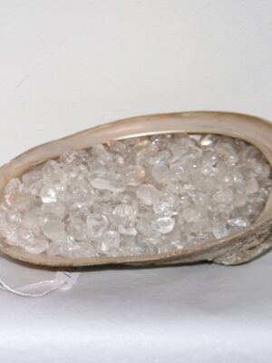 Zakje bergkristal voor in Abalone schelp