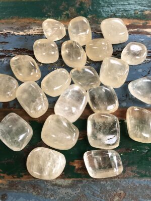 Champagne Calciet (Geel Gouden Calciet)